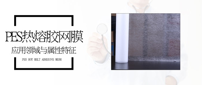 pes熱熔膠網膜封面.jpg pes熱熔膠網膜封面.jpg